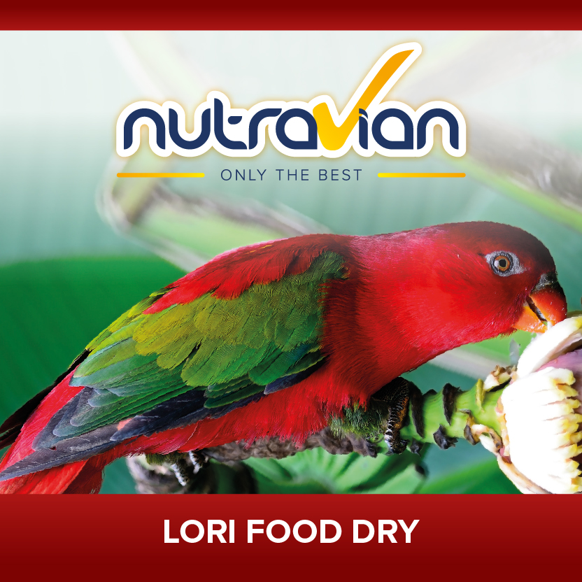 Lori Food DRY 5KG - immagine 2