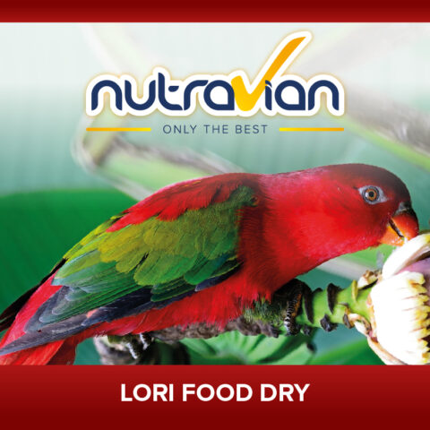Lori Food DRY 1KG