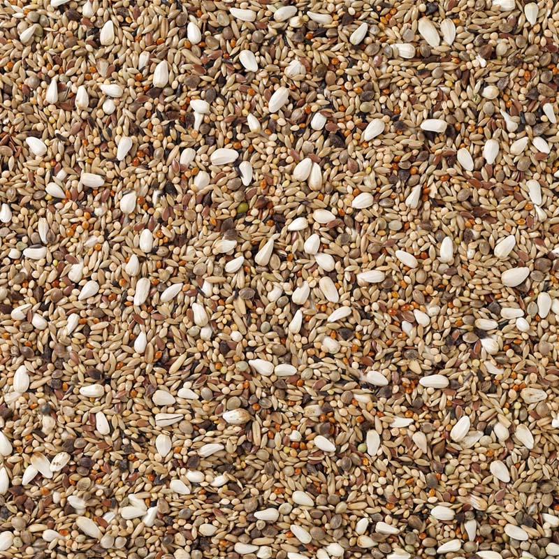 AG1 Power Gold Inseparabili - immagine 2