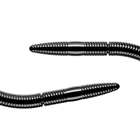 FATTY D’WORM 040 (65mm) FORMAGGIO 10 PEZZI